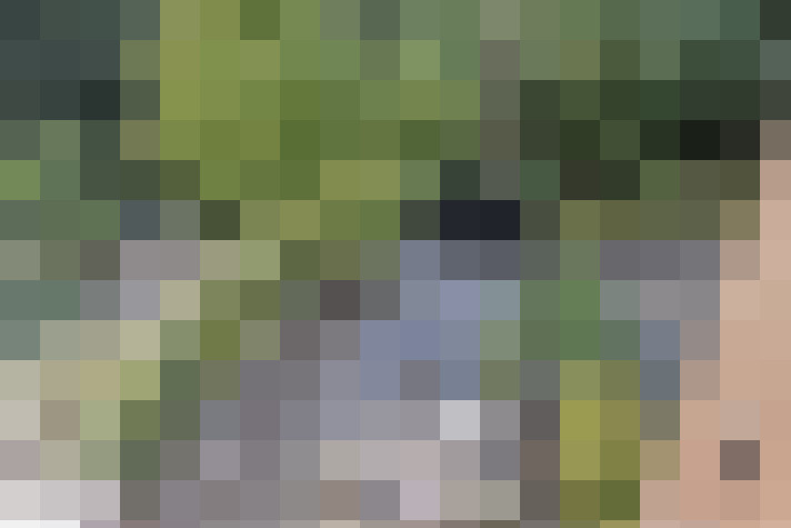 Image 23