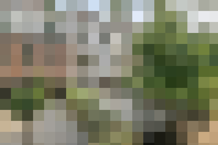 Image 39