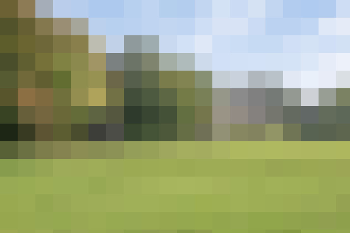 Image 44