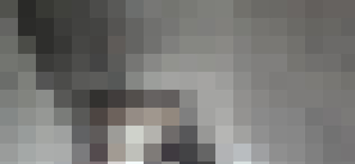 Image 52