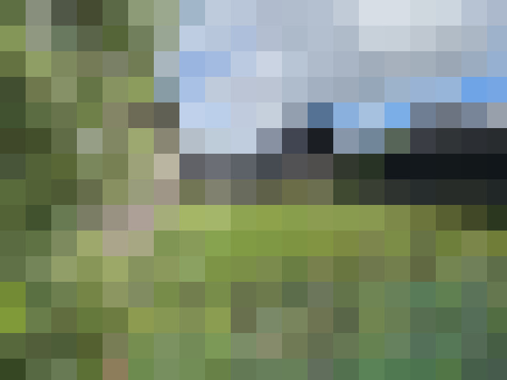 Image 77