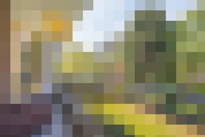 Image 20