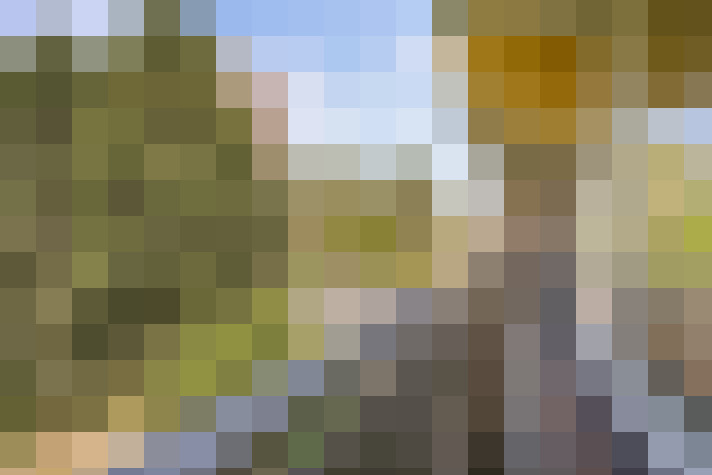 Image 22