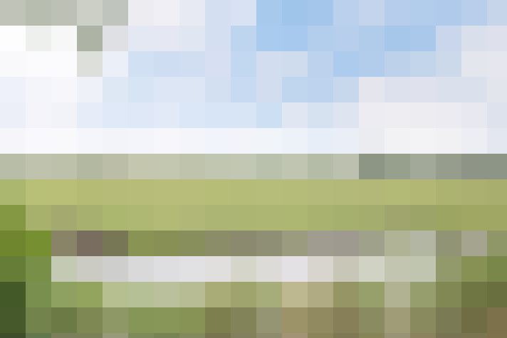 Image 57