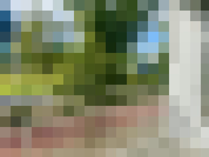 Image 29