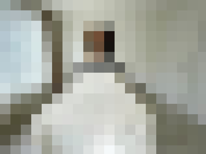 Image 17