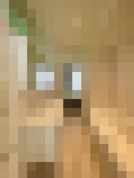 Image 23