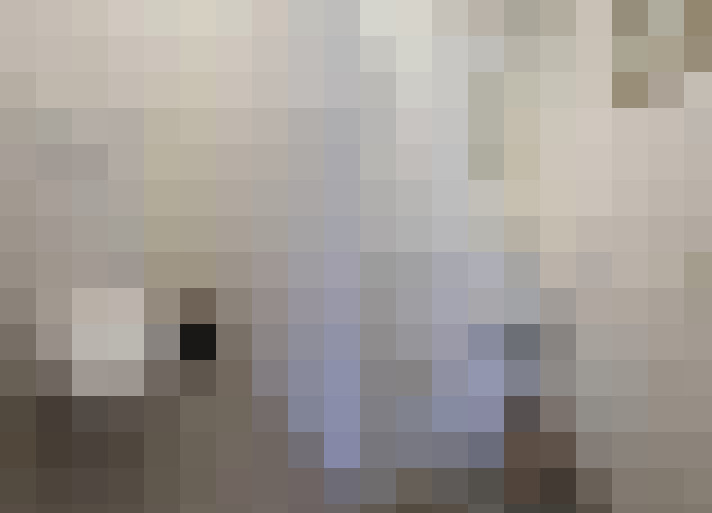 Image 23