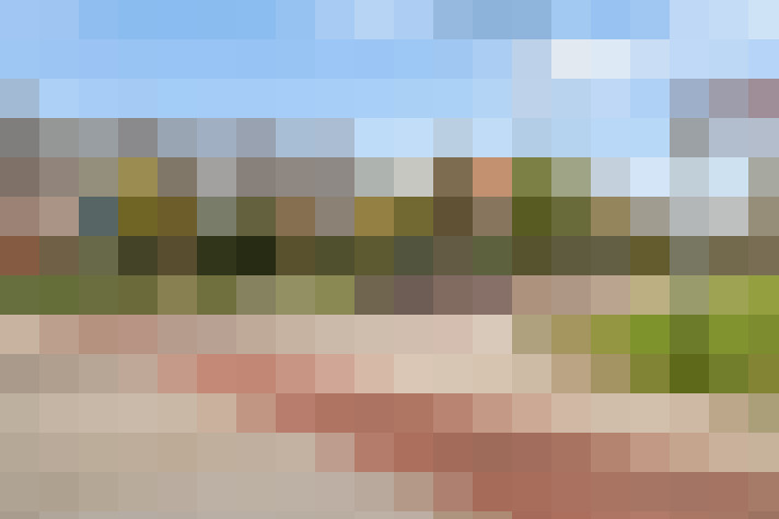 Image 50