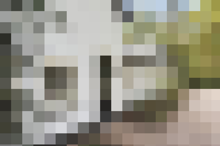 Image 16
