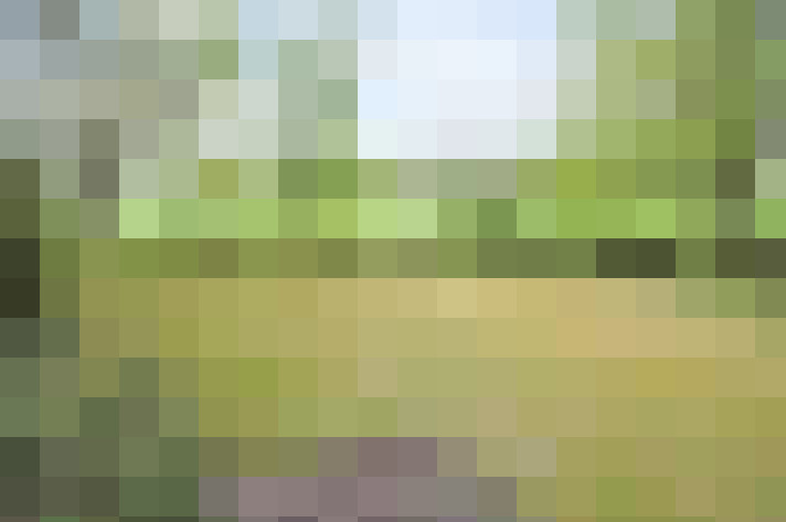 Image 18