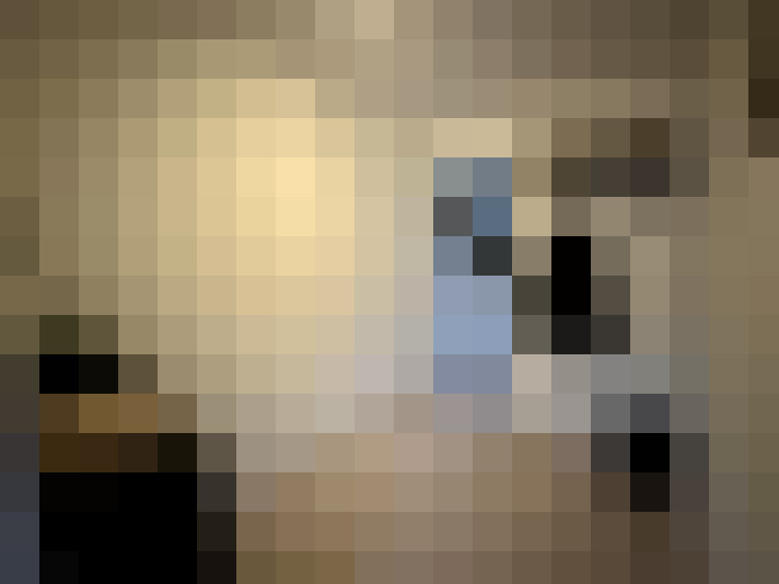 Image 15