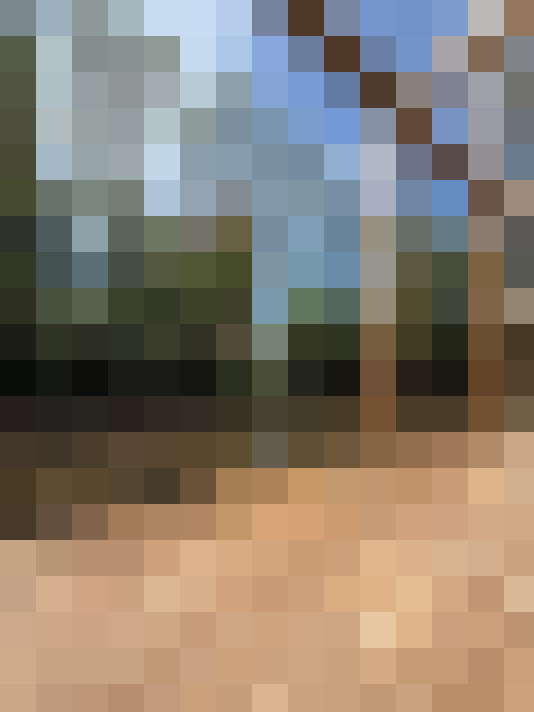 Image 22