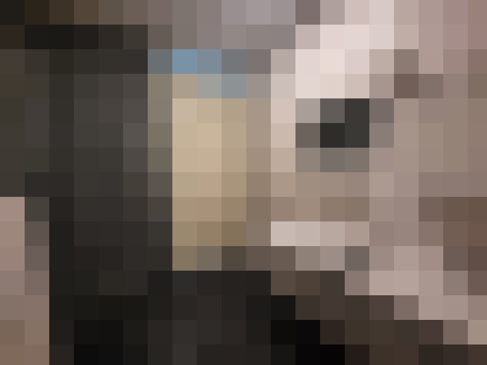 Image 20