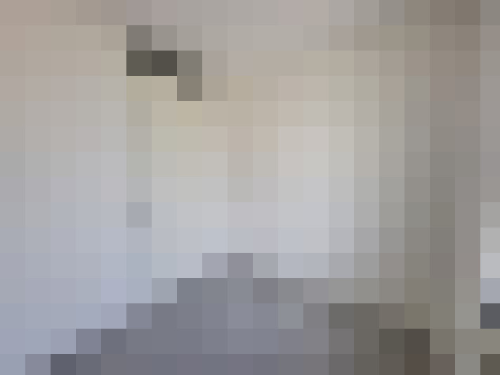 Image 14