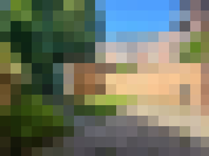 Image 22
