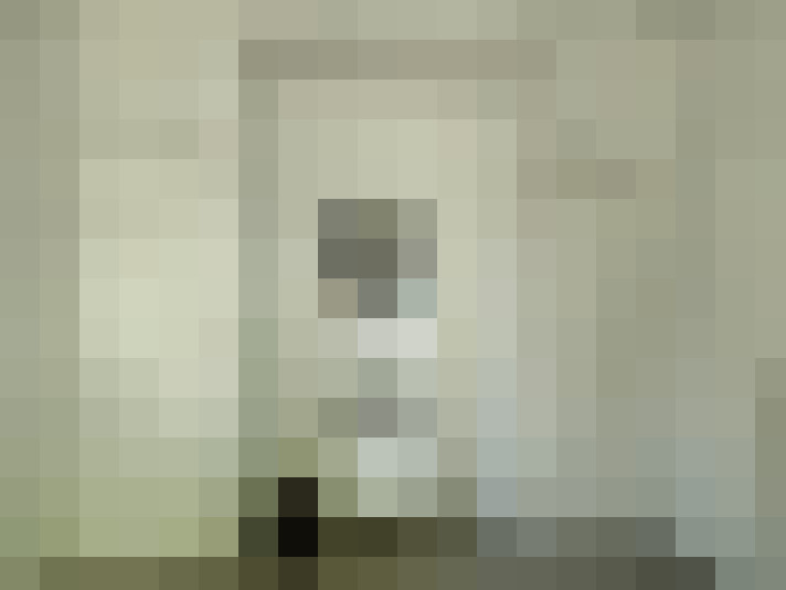 Image 13