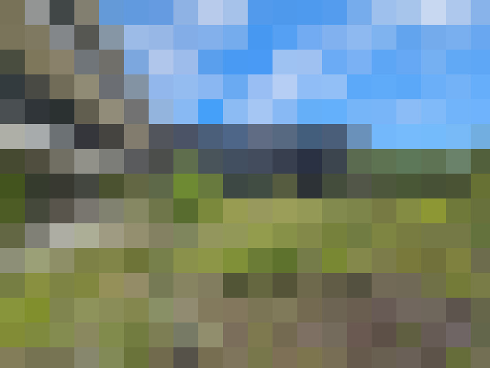 Image 20