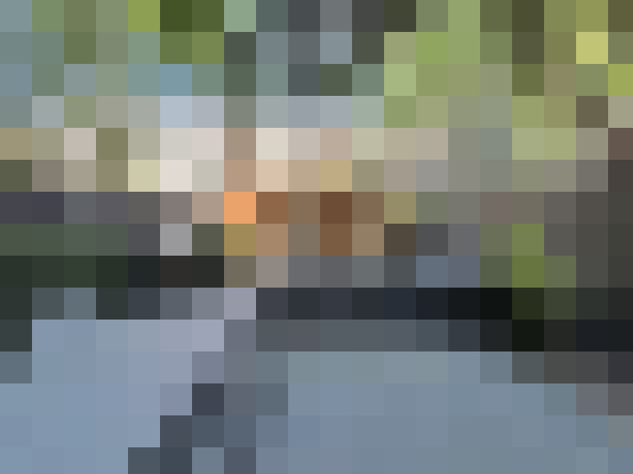 Image 30