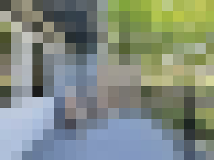 Image 24