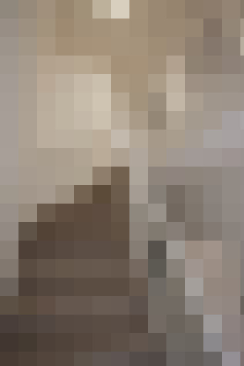 Image 32
