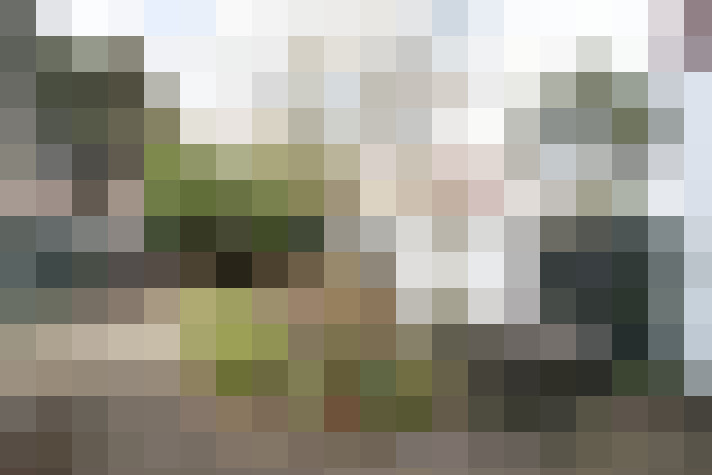 Image 16