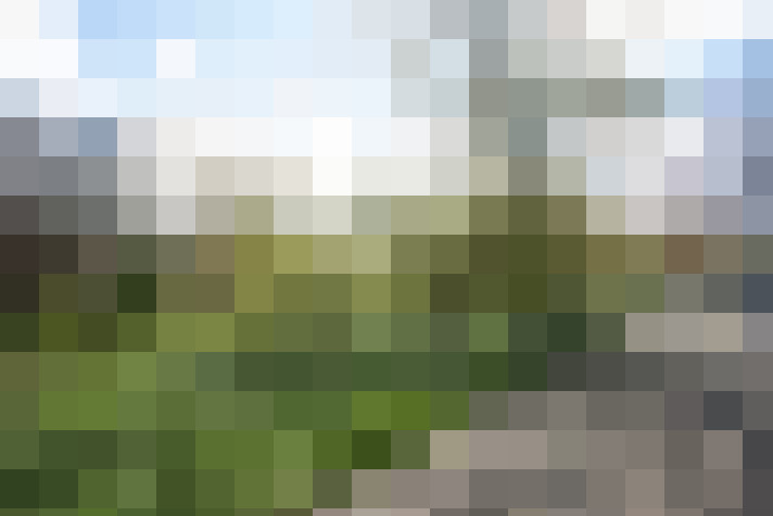 Image 47