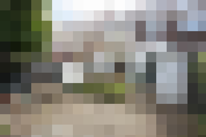 Image 14