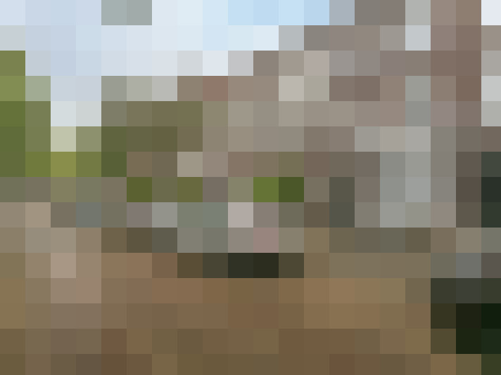 Image 29