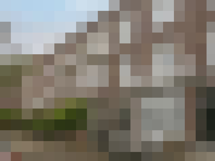 Image 28