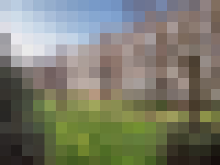 Image 33