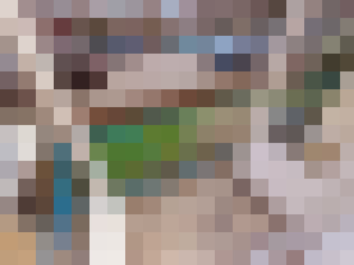 Image 29