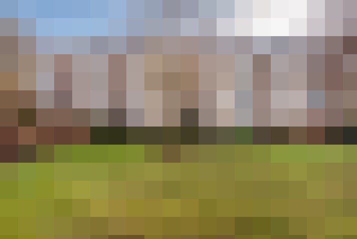Image 36