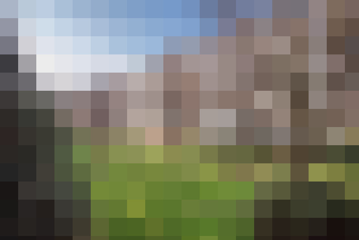 Image 33