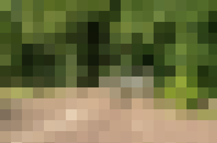 Image 26