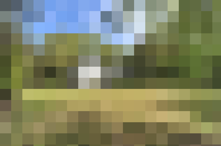 Image 17