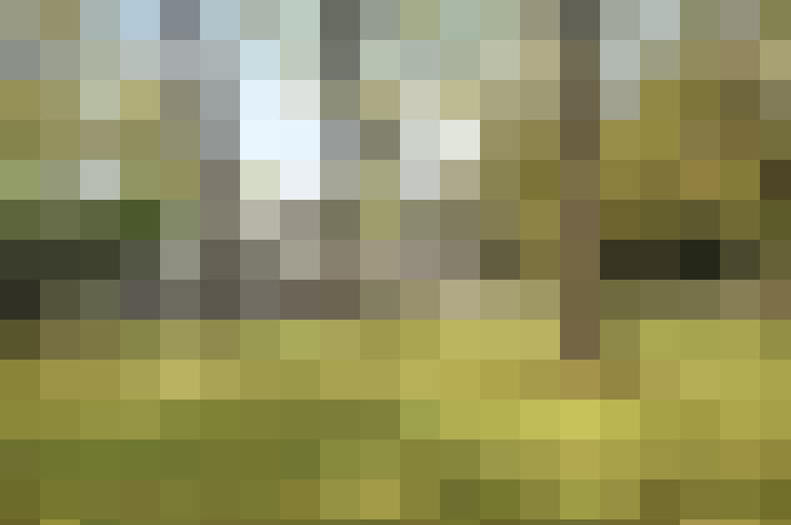 Image 15