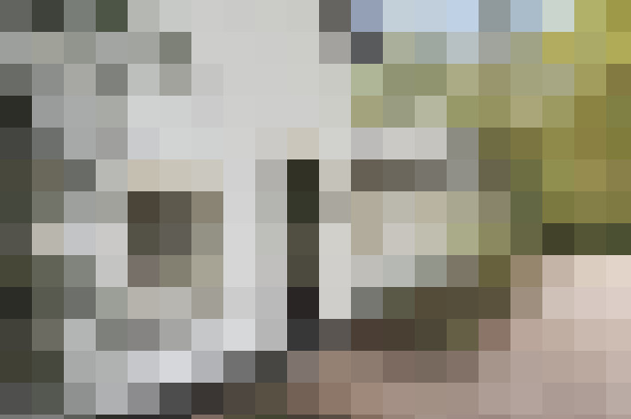 Image 16