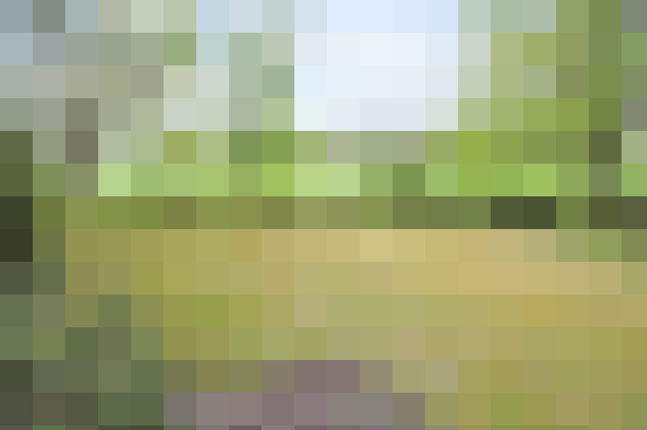 Image 18