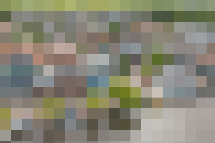 Image 35
