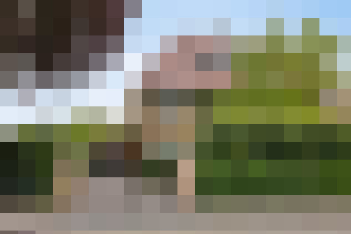 Image 66