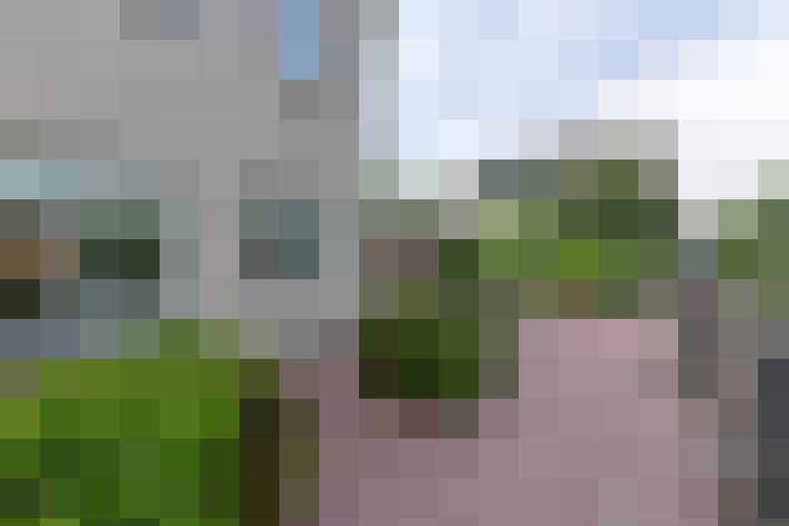 Image 54