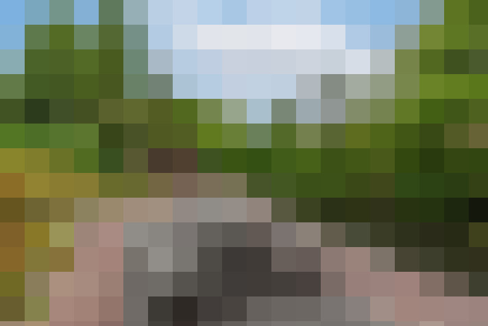 Image 49