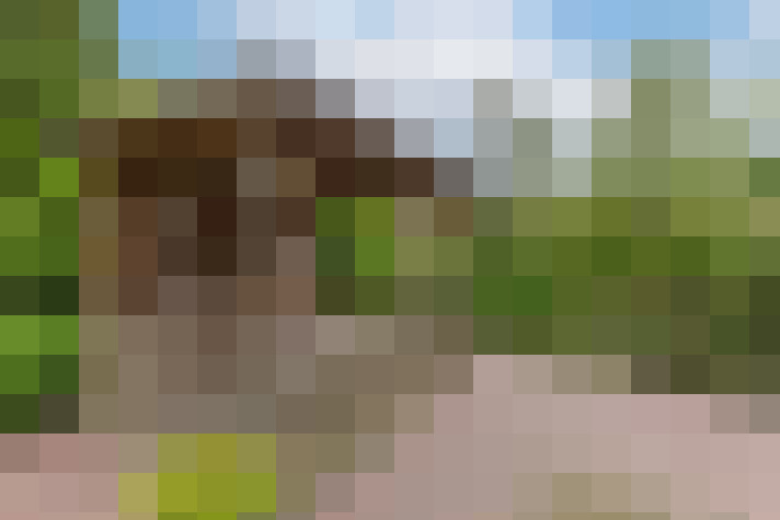 Image 50