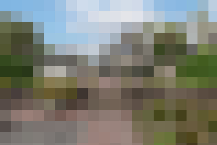 Image 51