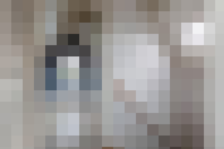Image 35