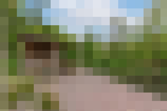 Image 45