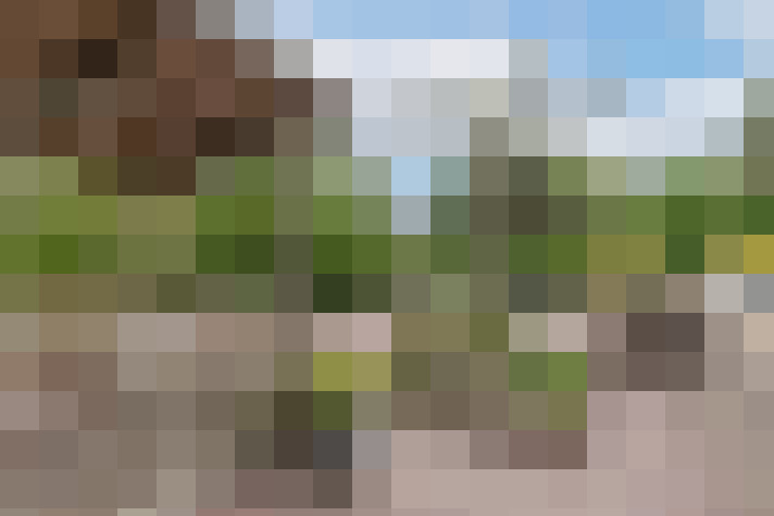 Image 46