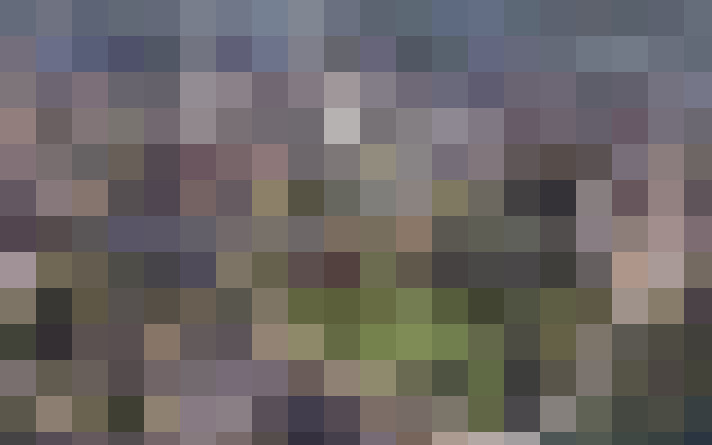 Image 21