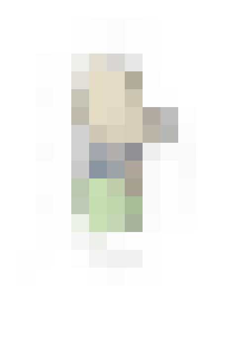 Image 27